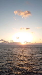 DSC_1518.JPG