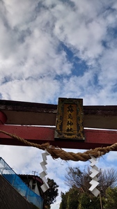 DSC_1554.JPG