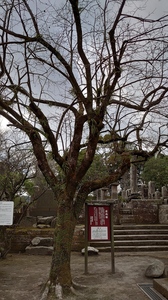 DSC_1617.JPG