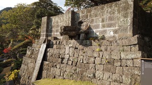 DSC_1647.JPG